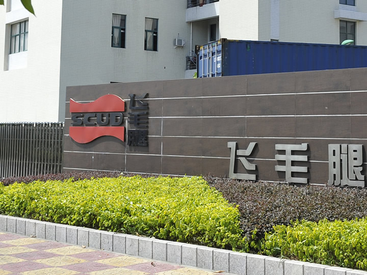 飛毛腿(福建)電子有限公司